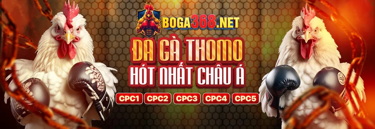 Hình ảnh chủ đạo về chơi có trách nhiệm tại loc88 apk